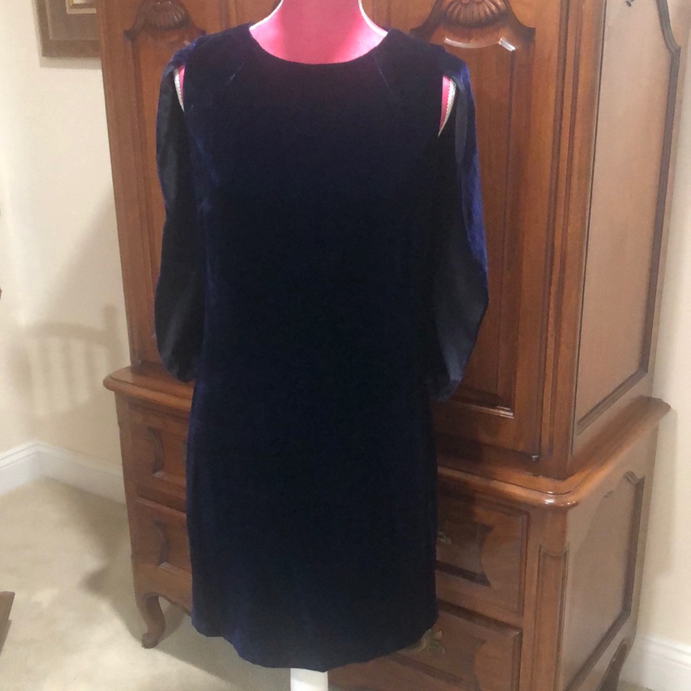 Stunning Per Se by Carlisle purple velvet dress